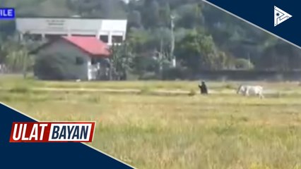 Sen. Go, umapela sa agriculture department na tulungan ang mga maliliit na negosyo