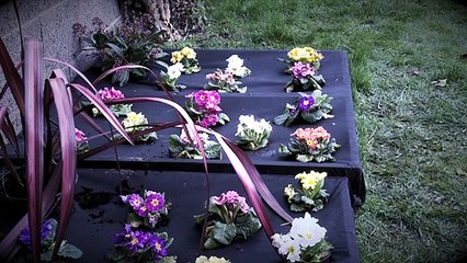 'Offside' - Short Film (2013)