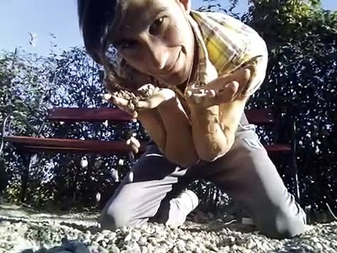 DJ PROJECT & GIULIA O SECUNDA