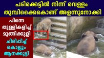 Adorable video of baby elephant enjoying a bath goes viral | Oeindia Malayalam