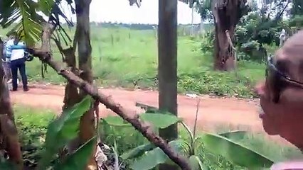 RAPHAELL, THÁBATTA, FERNANDA E OSMILTON NO SÍTIO DE SEU LUIZ LAGOA DE ITAENGA-PE 20_01_2016