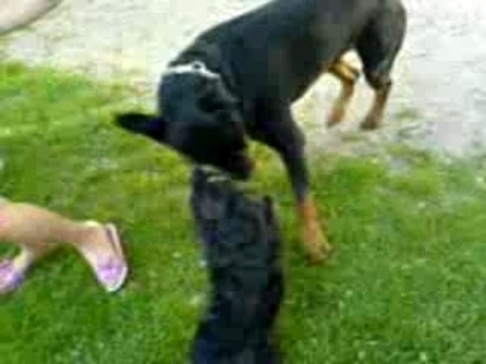 TYSON STYLE