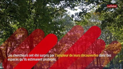 L'inquiétant phénomène des pluies de plastique aux États-Unis