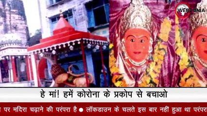 कोरोनावायरस काल में Collector ने चौबीस खंभा माताजी को लगाया मदिरा का भोग