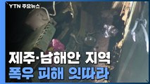 '잠기고 역류하고'...제주·남해안 지역 비 피해 잇따라 / YTN