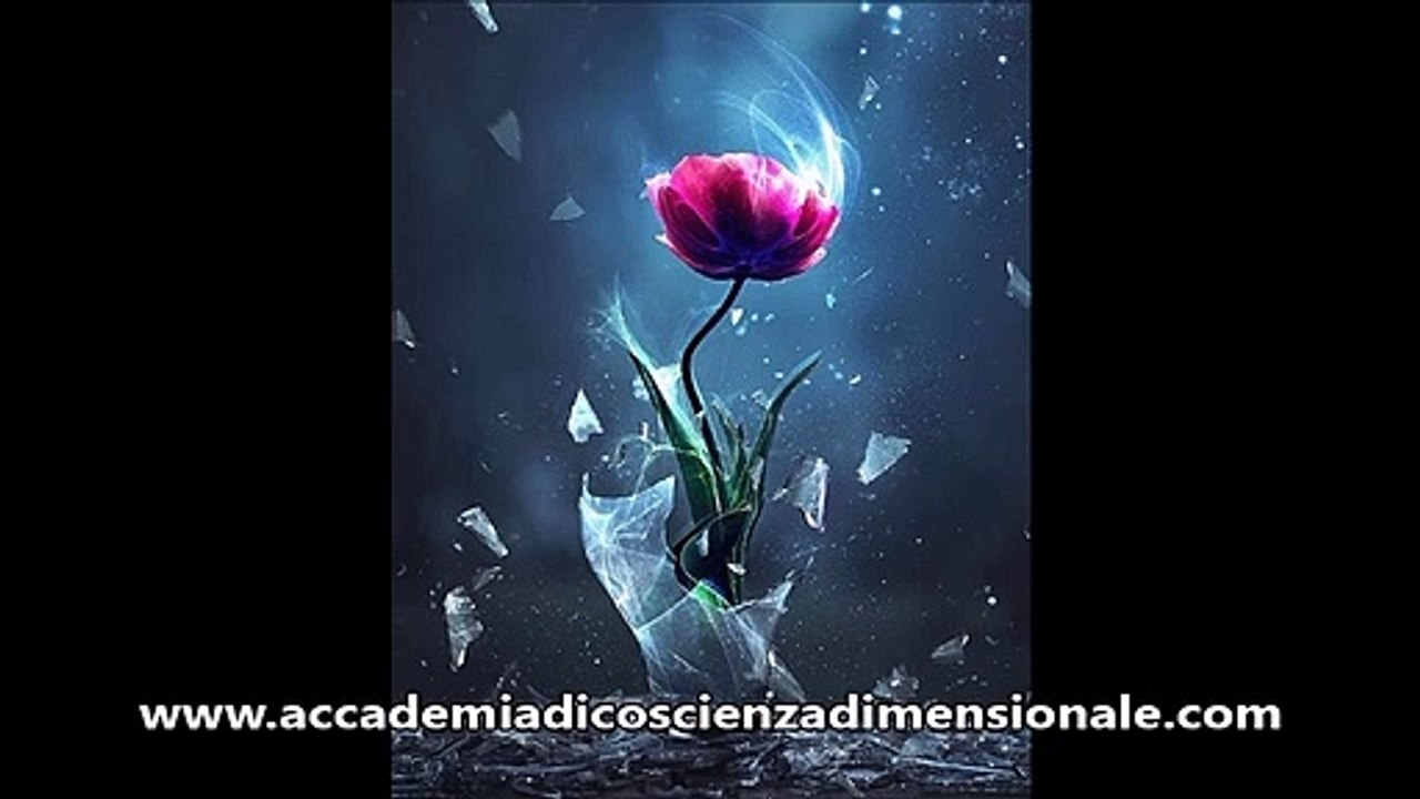 Meditation Mix - 5 Energize (Sonia)