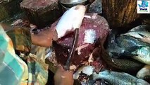 Admirable Big Mrigal Fish Cutting Skills Live in Fish Market