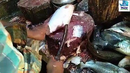 Admirable Big Mrigal Fish Cutting Skills Live in Fish Market