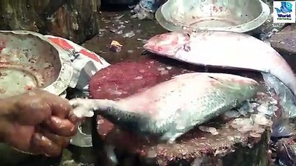 Admirable Hilsa(ilise) Fish Cutting in Fish Market