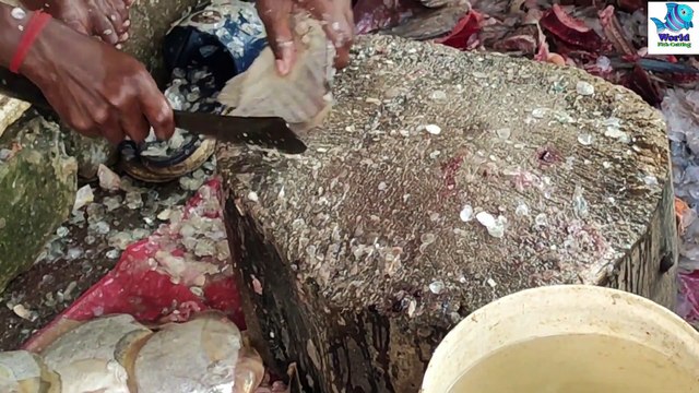 Admirable Pomfret Fish Cutting Skills Live in Fish Market- Fillet Rupchanda Fish Slicing