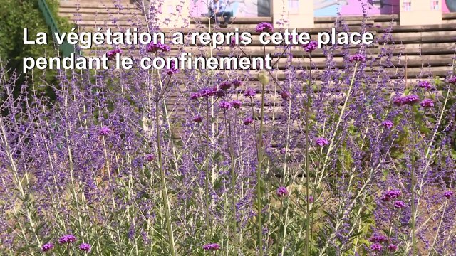 Après le confinement, un brin d’ensauvagement dans les parcs et jardins parisiens