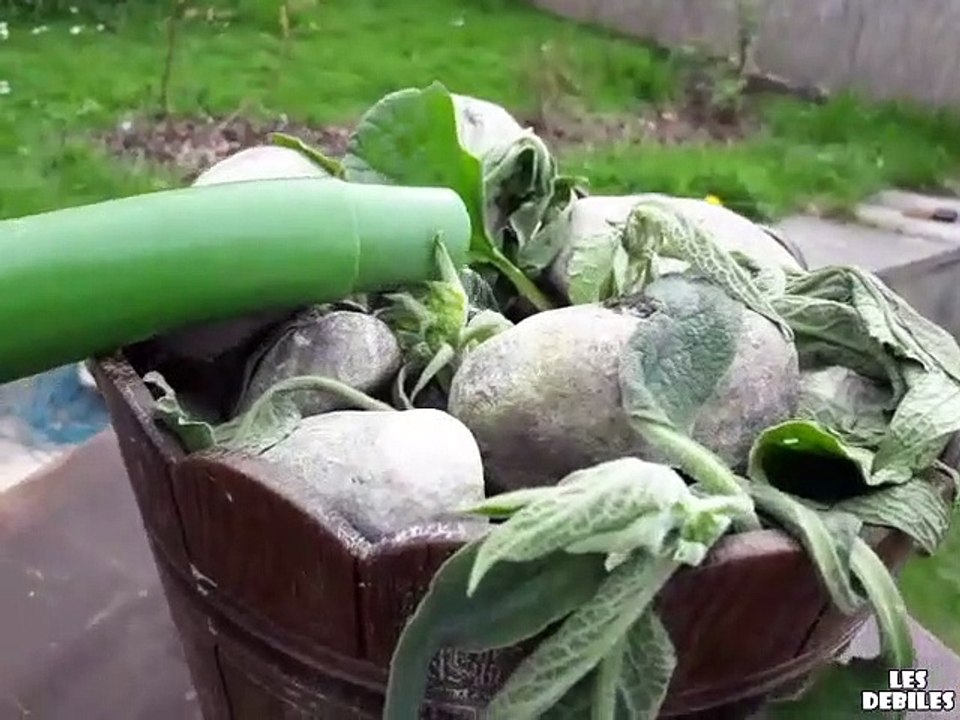 Il arrose sa plante, regardez comment elle le remercie