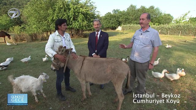 Gündüz Gece - İstanbul/Beykoz/Cumhuriyet Köyü | 13 Haziran 2020