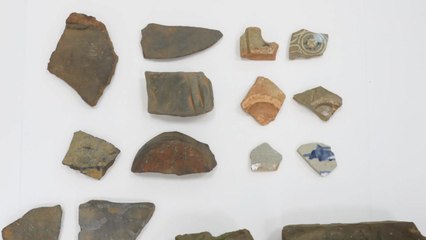 유산의 보고 비무장지대, 남북 공동조사 언제? / YTN