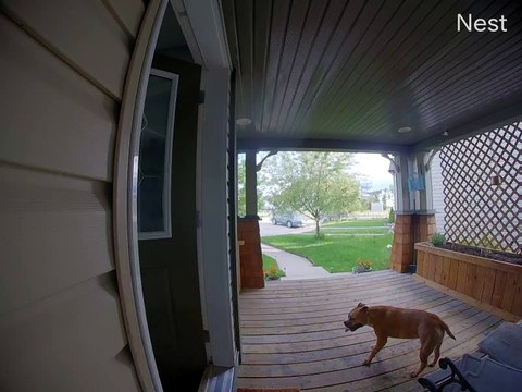 Doorbell Camera Catches Lady Falling
