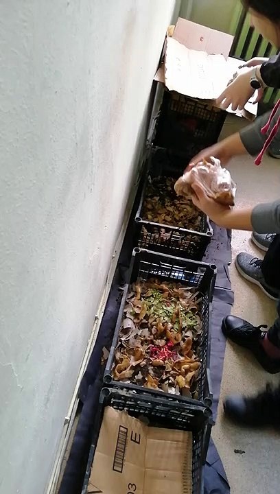 Kompostlara destek karbon