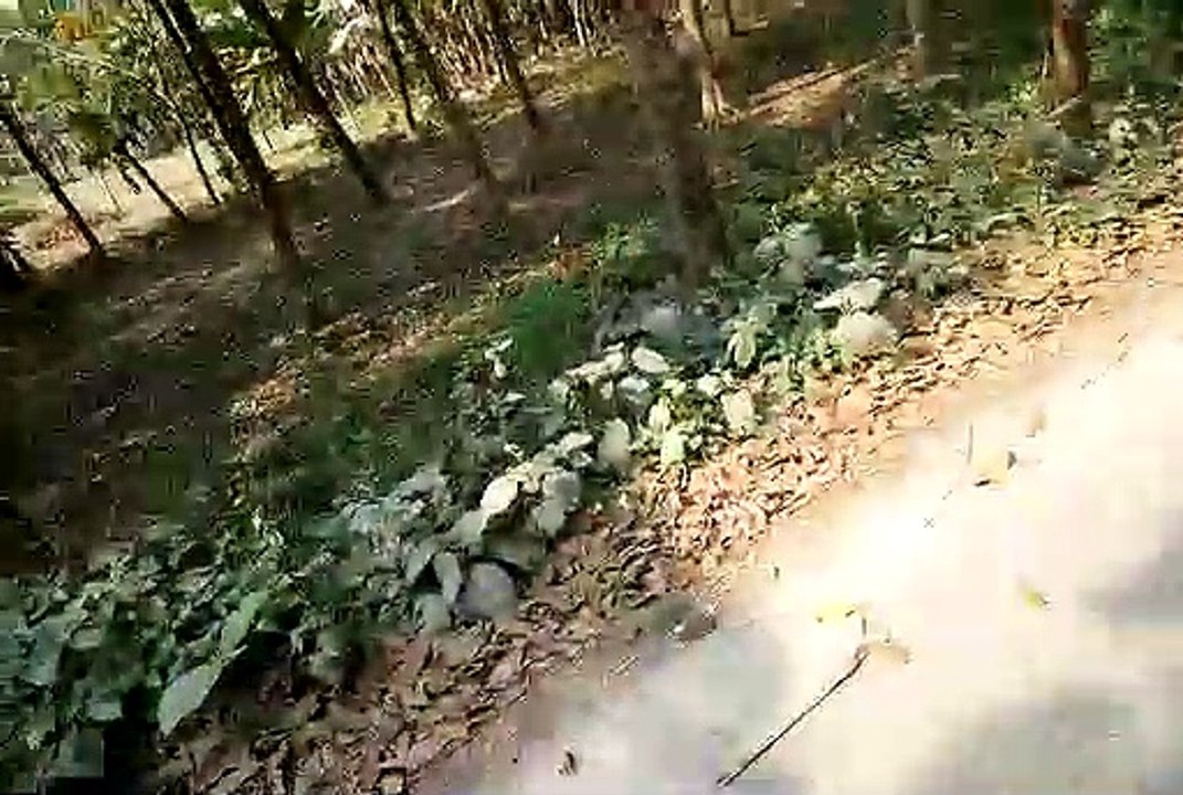 VID_20200222_095552