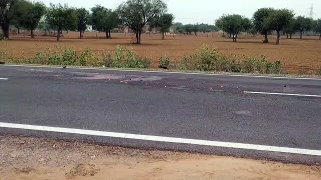 मॉर्निंग वॉकपर गई महिलाओं को डंपर ने कुचला, एक की मौत