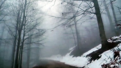 MUSICA CON SONIDO DE FONDO SONIDO DE TORMENTA  EN UN BOSQUE