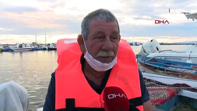 Köpek balığı bu defa Saros Körfezi'nde görüntülendi