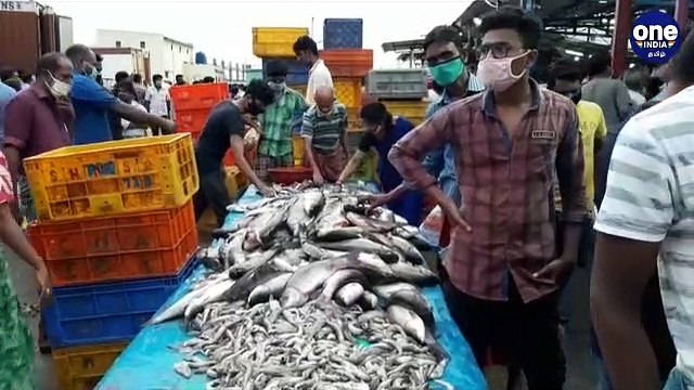 ஜெகதாப்பட்டினம் மீன் சந்தையில் இடைவெளியின்றி குவிந்த மக்கள் - வீடியோ