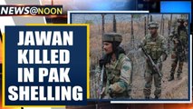 Poonch: Jawan Killed, 3 injured in Pak shelling along LoC in J&K | Oneindia News