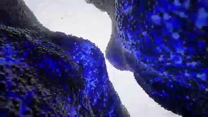 PS5 Released  Trailer