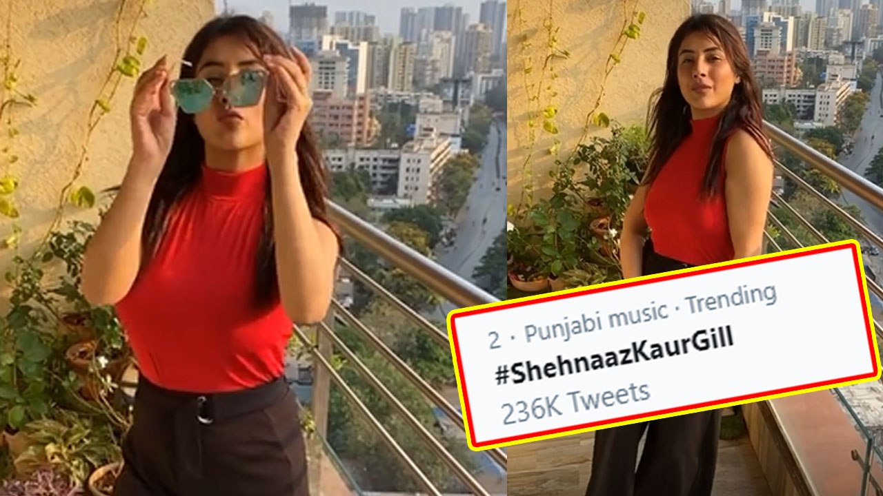 Shehnaz Gill फिर हुईं Twitter पर Trend; फैंस लगातार कर रहे हैं Shehnaz के लिए Tweets | FilmiBeat