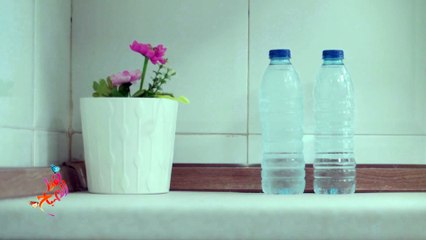 بدائل طبيعية صديقة للبيئة يمكن استخدامها منزليا