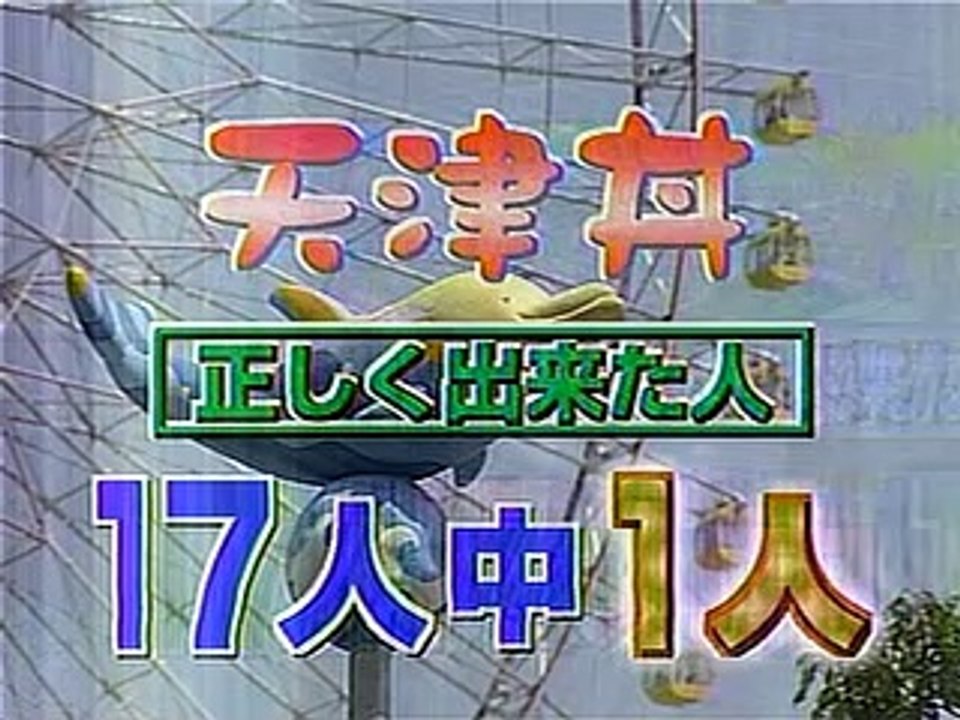 やってトライ　天津丼をつくる　正解娘の料理を見る　2005/05/08