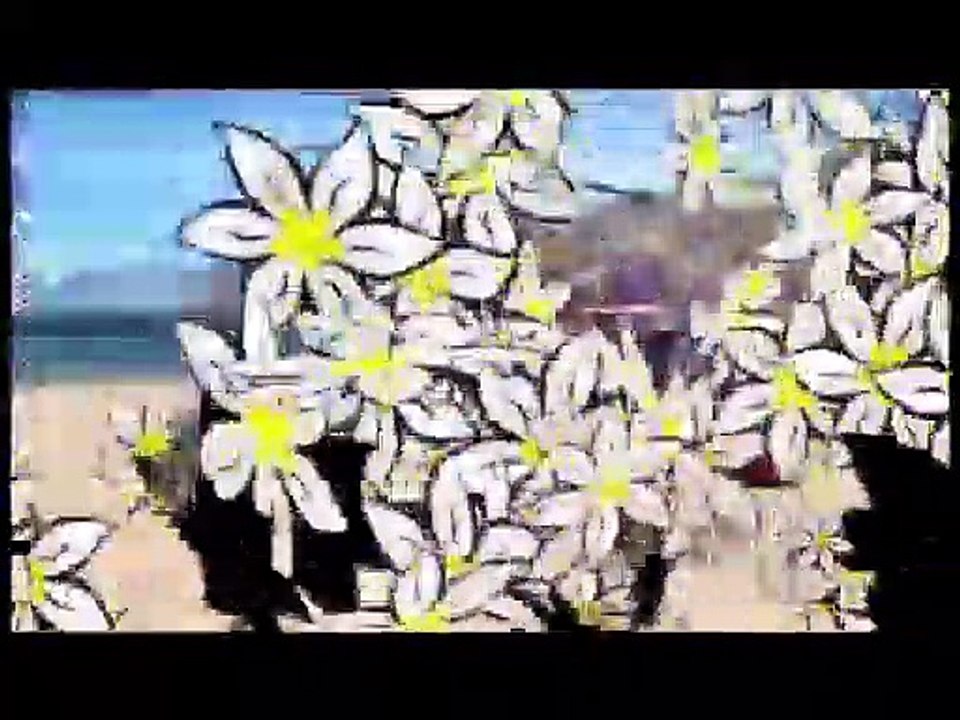 Chueli Musig mit dem Titel Dr Meischter Baer, Schottisch von Toni Anneler