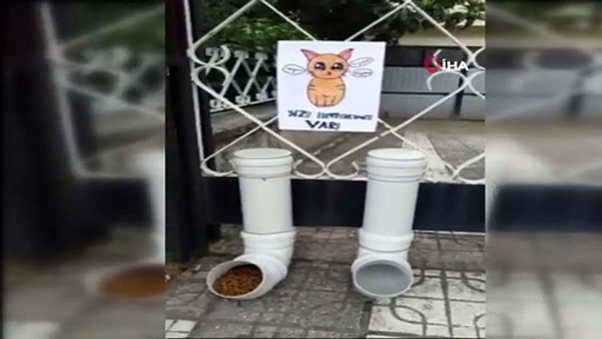 10 yaşındaki Hatice sokak hayvanları için evinin önüne kurduğu düzenek ile  herkese örnek oldu - Dailymotion Video