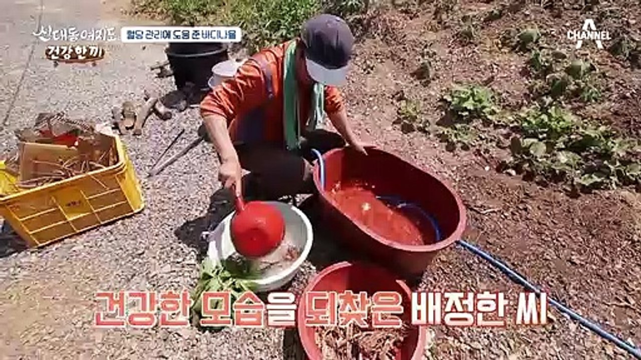 혈당 관리에 도움 준 '바디나물'로 만든 건강 한 끼!