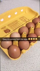 Store Bought Egg Has a Hidden Surprise