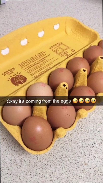 Store Bought Egg Has a Hidden Surprise