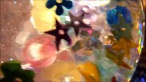 ぬみゃ水族館（ホログラムで明るいバージョン）