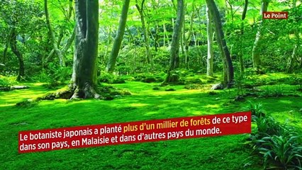 Des mini-forêts à la poussée ultrarapide plantées un peu partout en Europe