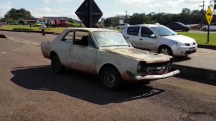 Corcel pega fogo às margens da BR-277, no Turisparque