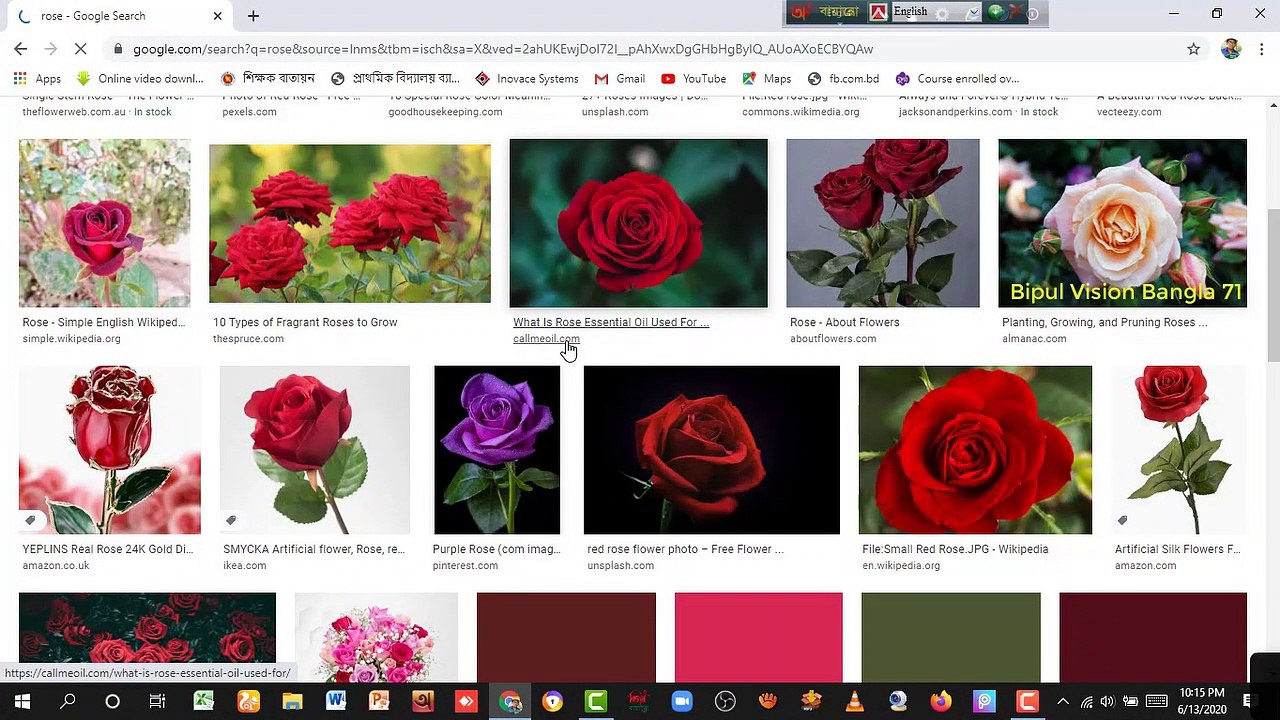 খুব সহজেই ছবি ও ভিডিও ডাউনলোড করুন।।   Download Images & Videos Easily. দেখুন BipulVisionBangla 71