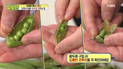 (1급 비밀) 좋은 [완두콩]의 비밀은 꼬투리에 있다?