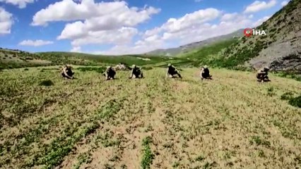 2 teröristin etkisiz hale getirildiği operasyonda 10 bin kök hint keneviri ele geçirildi