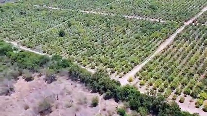 Tras enfrentamientos, autoridades realizan sobrevuelos en Tepuche