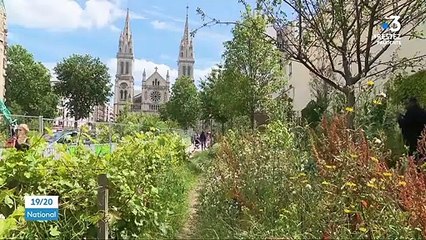 Déconfinement : laisser la nature retrouver ses droits dans les villes