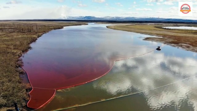 Russia struggles to clean up massive oil spill in Arctic region