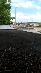 Filho Bate No Pai De 90 Anos Com O Cinto