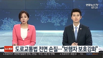도로교통법 전면 손질…"보행자 보호강화"