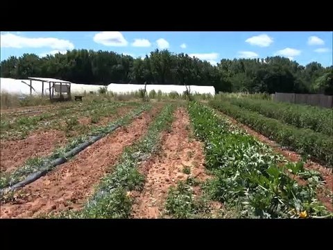 Municipales TRETS 2e tour - TRETS AVEC VOUS présente la régie agricole Communale.