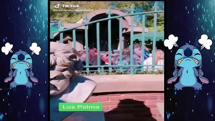 MEJORES VIDEOS DE TIK TOK PERU