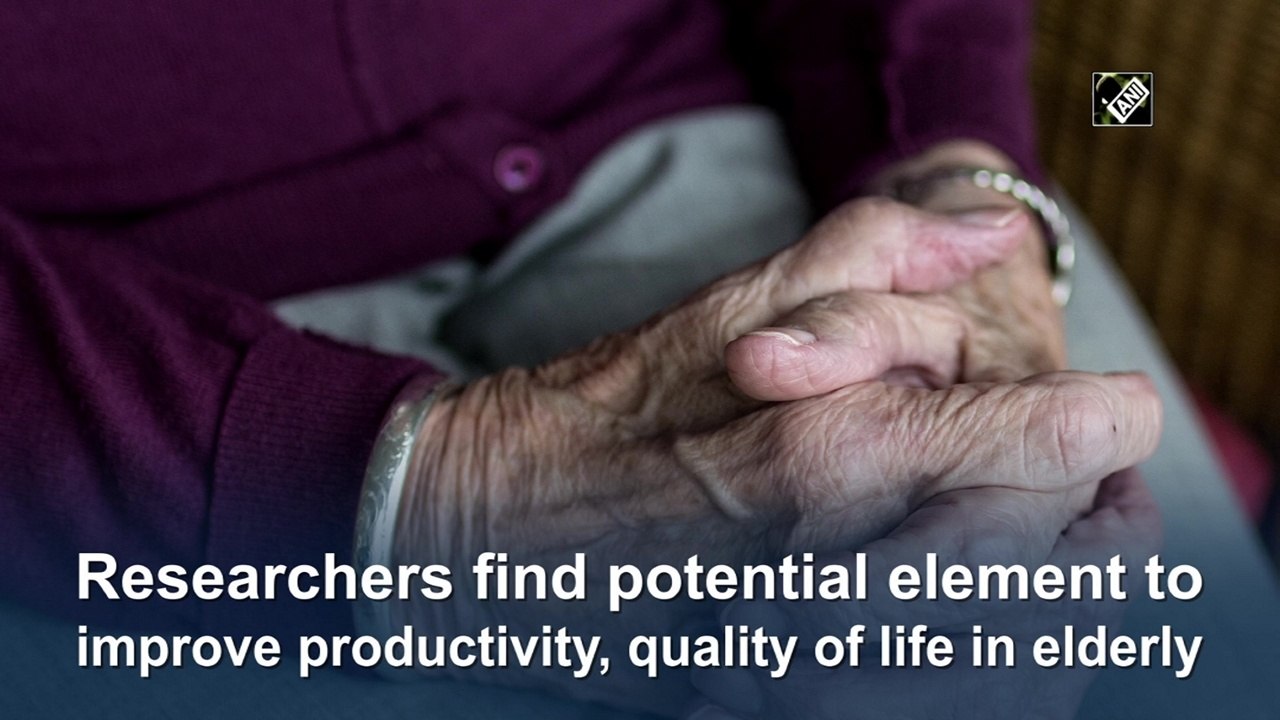 Researchers find potential element to improve productivity, quality of life in elderly