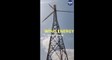 Global Wind Day: The greener future with wind energy explained in a minute| Oneindia News
